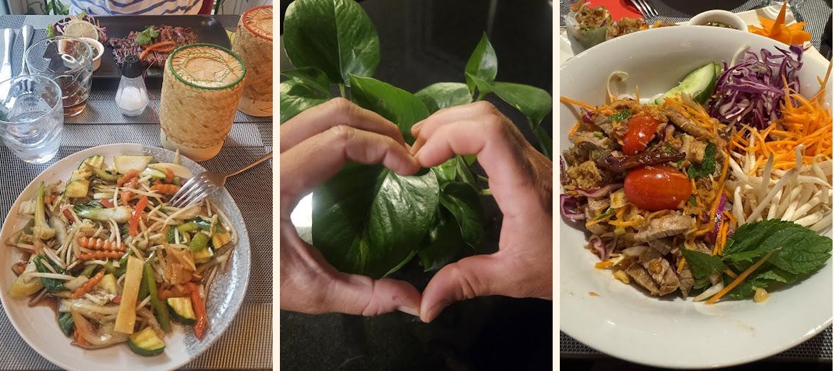 Washi Thaï - Gallery Image 4